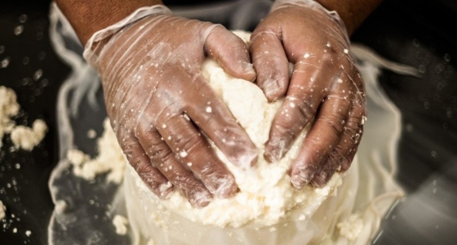MG: regulamentação do queijo artesanal impulsiona produção no Campo das Vertentes